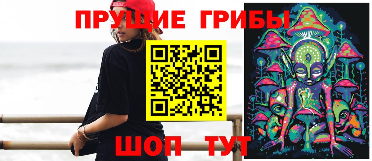 Галлюциногенные грибы Psilocybine cubensis Фурманов