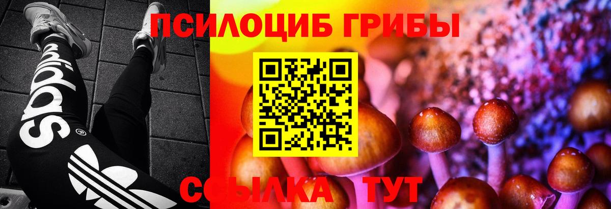 где купить   Вход с VPN  Псилоцибиновые грибы Psilocybine cubensis  Фурманов  Псилоцибиновые грибы Magic Shrooms 